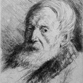 Portrait de vieillard barbu