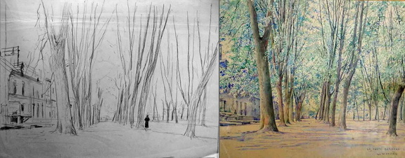 Allée d'arbres à La Ferté-Bernard avec étude