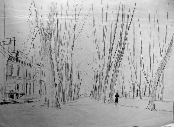 Allée d'arbres à La Ferté-Bernard 