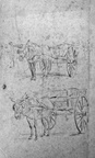 Études de charrettes