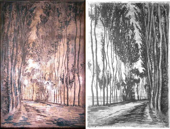 Plaque pour une allée d'arbres