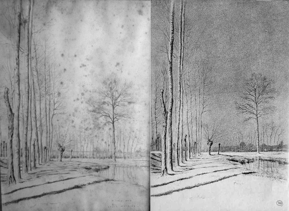 Paysage de peupliers